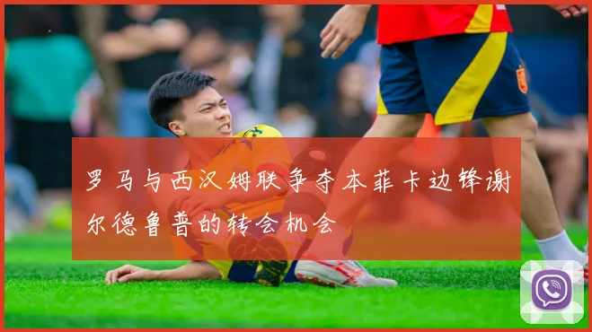 罗马与西汉姆联争夺本菲卡边锋谢尔德鲁普的转会机会