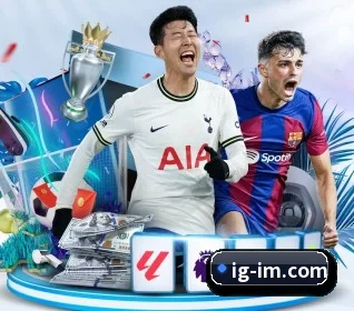 IM体育 APP | IMSports