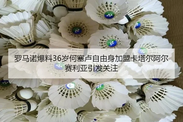 罗马诺爆料36岁何塞卢自由身加盟卡塔尔阿尔赛利亚引发关注（IMSports）